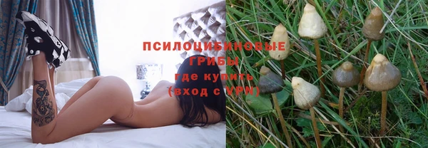 jwh Армянск