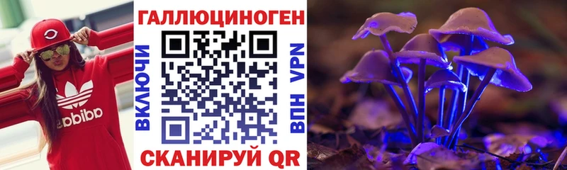 Купить  Багратионовск  Псилоцибиновые грибы MAGIC MUSHROOMS 